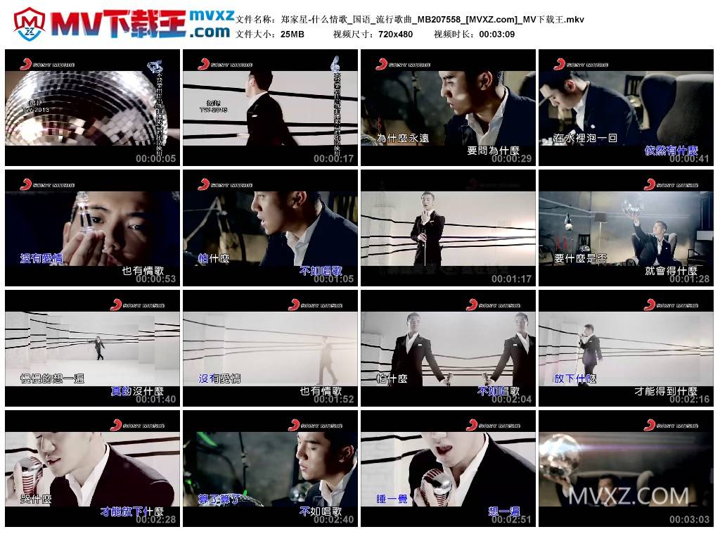 郑家星-什么情歌_国语_流行歌曲_MB207558